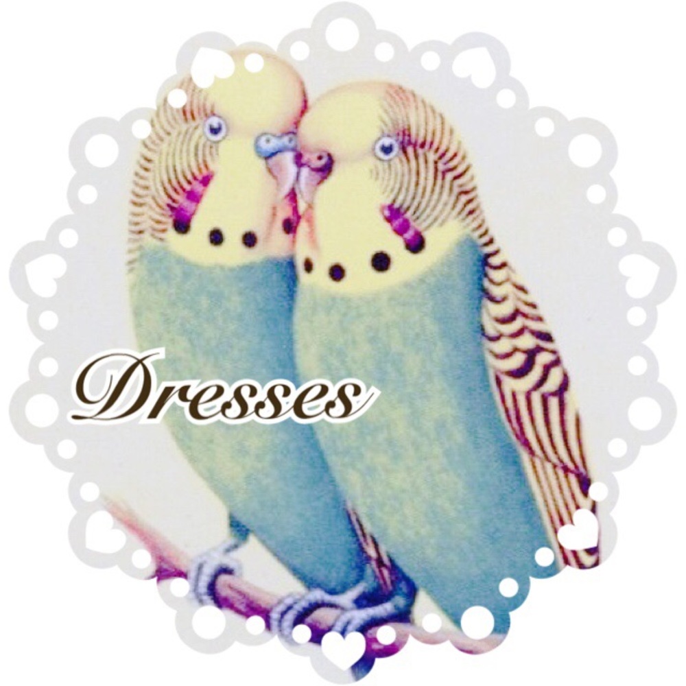 Dresses Start Here